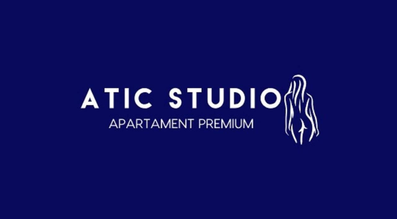 Apartament Attic Studio Tarnowskie Góry Zewnętrze zdjęcie